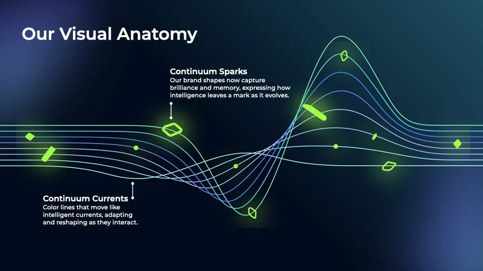 anatomy